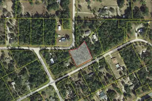 16175 SW 47th Place Rd, Ocala, FL 34481 - Photo 1