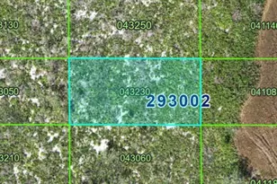 Pid #29 30 02 000000 043230, Lake Wales, FL 33898 - Photo 1
