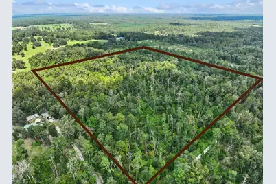 152nd Pl, Wellborn, FL 32094 - Photo 1