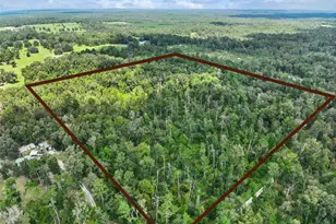 152nd Pl, Wellborn, FL 32094 - Photo 1