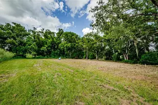 909 Grandaddy Ln, Lutz, FL 33548 - Photo 1