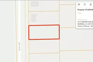 3113 Water Oak Rd, Bunnell, FL 32110 - Photo 1