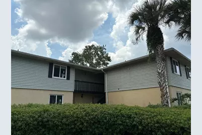 217 Thorn Tree Place, Brandon, FL 33510 - Photo 1