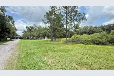 29956 New Dutch Lane, Wesley Chapel, FL 33545 - Photo 1