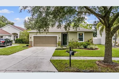 11126 Goldenrod Fern Drive, Riverview, FL 33569 - Photo 1