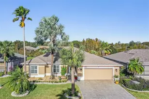 10520 Collar Dr, San Antonio, FL 33576 - Photo 1