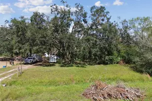 1619 Butch Cassidy Trail, Wimauma, FL 33598 - Photo 1