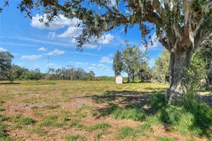 17744 Bledsoe Loop, Lithia, FL 33547 - Photo 1