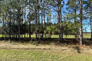 17609 Bledsoe Loop, Lithia, FL 33547 - Photo 1
