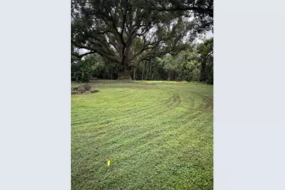 10141 Connerly Road, Dade City, FL 33525 - Photo 1