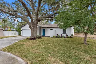 1399 Grapeleaf Ct, Tarpon Springs, FL 34689 - Photo 1