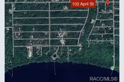 102 April Street, Georgetown, FL 32139 - Photo 1