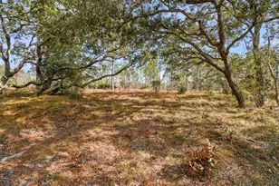 Seneca Rd, Weeki Wachee, FL 34614 - Photo 1