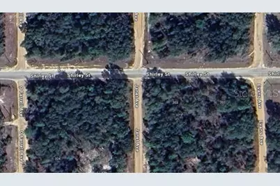 Janet Ave, Interlachen, FL 32148 - Photo 1