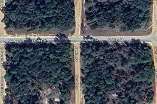 Janet Ave, Interlachen, FL 32148 - Photo 1