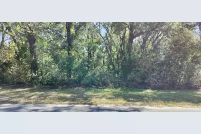 517 S Savary Avenue, Inverness, FL 34453 - Photo 1
