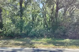 517 S Savary Ave, Inverness, FL 34453 - Photo 1