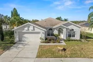 22516 Magnolia Trace Blvd, Lutz, FL 33549 - Photo 1