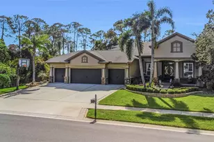 3668 Janus Way, Palm Harbor, FL 34685 - Photo 1