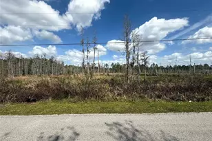 Green Willow Run, Wesley Chapel, FL 33544 - Photo 1