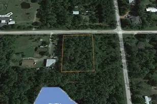 6017 Nutwood Ave, Bunnell, FL 32110 - Photo 1