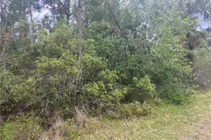 Alhambra Ave, North Port, FL 34291 - Photo 1