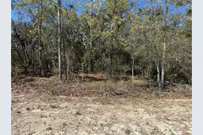 15061 Hummingbird Road, Weeki Wachee, FL 34614 - Photo 1