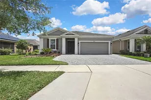 4224 Crayford Ct, Land O Lakes, FL 34638 - Photo 1
