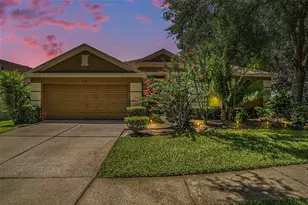6130 Whimbrelwood Dr, Lithia, FL 33547 - Photo 1