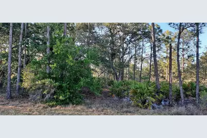 1012 Japonica Drive, Indian Lake Estates, FL 33855 - Photo 1