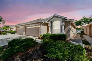 31434 Shaker Cir, Wesley Chapel, FL 33543 - Photo 1