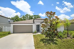 13419 Willow Bluestar Loop, Riverview, FL 33579 - Photo 1