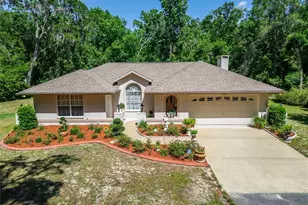 11120 Lu Wista Ln, Brooksville, FL 34601 - Photo 1