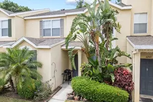 6249 Osprey Lake Cir, Riverview, FL 33578 - Photo 1