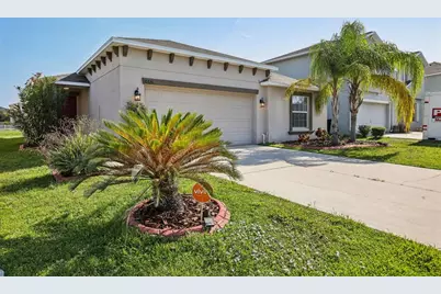 10326 Boggy Moss Drive, Riverview, FL 33578 - Photo 1