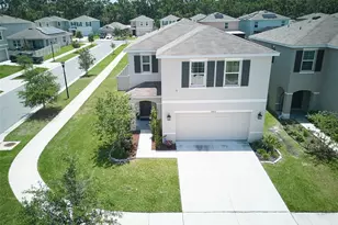 10826 Trailing Vine Dr, Tampa, FL 33610 - Photo 1