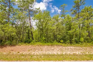 0 Mount Sparrow Rd, Weeki Wachee, FL 34614 - Photo 1