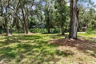 3703 Lithia Pinecrest Rd, Valrico, FL 33596 - Photo 1