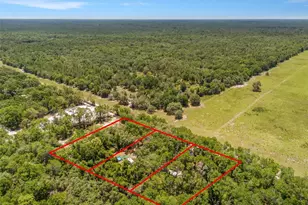 SW 160th St, Dunnellon, FL 34432 - Photo 1