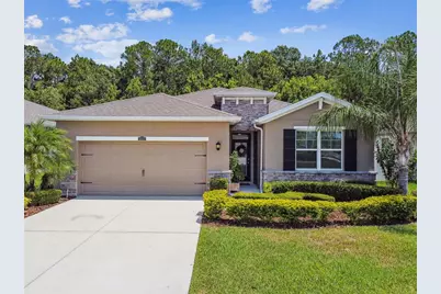 32825 Sand Creek Drive, Wesley Chapel, FL 33543 - Photo 1