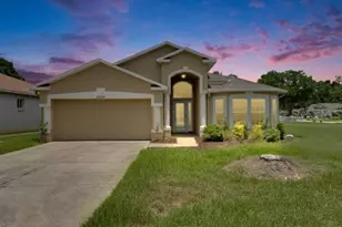 25327 7 Rivers Cir, Land O Lakes, FL 34639 - Photo 1