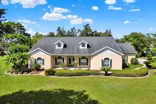 13321 Lewis Raulerson Rd, Dover, FL 33527 - Photo 1