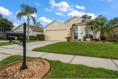 3137 Banyan Hill Lane, Land O Lakes, FL 34639 - Photo 1