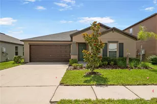 10390 Scarlett Skimmer Dr, Riverview, FL 33578 - Photo 1