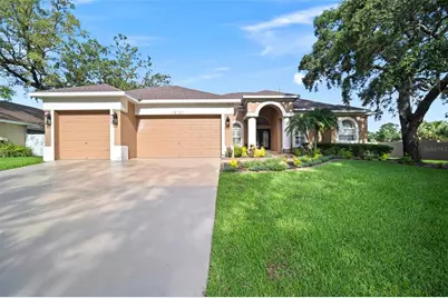 10101 Paddock Oaks Drive, Riverview, FL 33569 - Photo 1