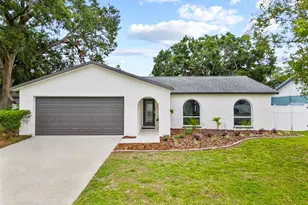 6204 Walsh Ln, Tampa, FL 33625 - Photo 1
