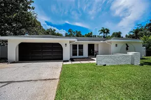 3411 Glossy Ibis Ct, Palm Harbor, FL 34683 - Photo 1