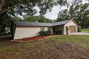 11308 Echo View Dr, Odessa, FL 33556 - Photo 1