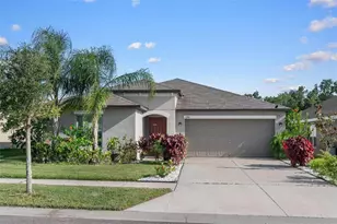 11303 Misty Moss Dr, Wimauma, FL 33598 - Photo 1
