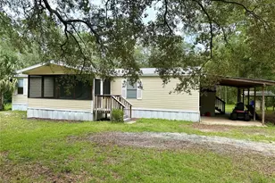 24175 NE 140th Ave, Fort Mc Coy, FL 32134 - Photo 1